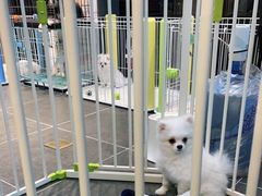 -萌兽医馆·眼科·异宠专科(三里屯店)