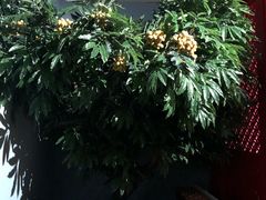 -广东省博物馆K停车场