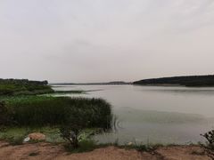 -丁香湖公园