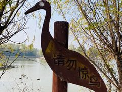 -盐城丹顶鹤湿地生态旅游区