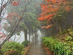 -四明山国家森林公园