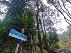 -风云岭森林公园