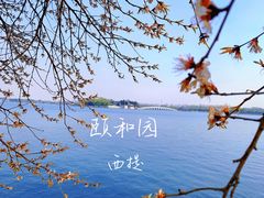 -颐和园