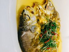 雪菜笋丝蒸大黄鱼-麟1929(外滩店)