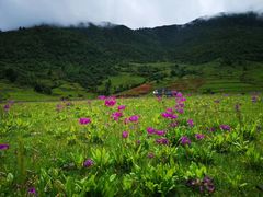 -丽江古城第一观景台