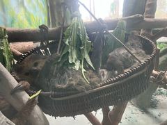 -杭州野生动物世界
