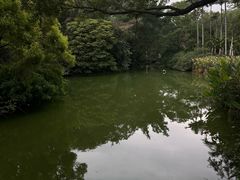 -人民公园(罗湖区)