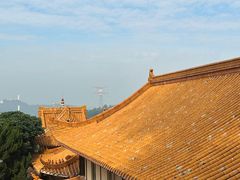 -深圳仙湖植物园