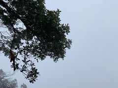 -塔云山