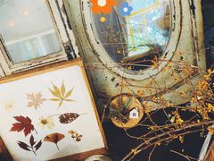 -知物癖(牛王庙店)