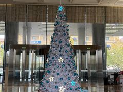 -李沧绿城喜来登酒店大堂吧