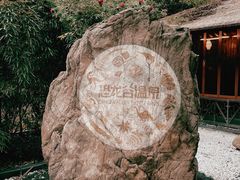 -中华恐龙园