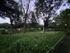 -立新湖公园