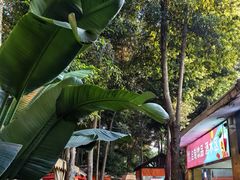 -二荆条·蜀鲜汇城市森林火锅