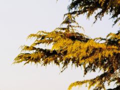 -河南省黄河迎宾馆