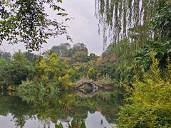 -张坝桂圆林公园