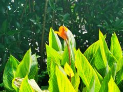 -三江森林温泉度假区