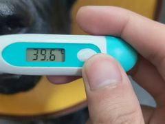 -嘉馨宠物医院·CT影像转诊·心脏科·犬猫全科诊疗中心(下沙大学城院区)