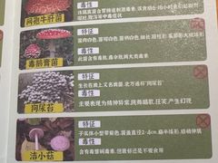-一朵菌·野生菌探索家火锅(南亚店)