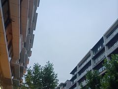 -朱大嘴肥肠血旺(福字街店)