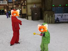 -广州热雪奇迹