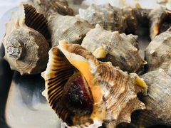 -渔民船说·北塘海鲜·天津菜·海肠捞饭(北塘古镇店)