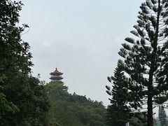 -深圳仙湖植物园