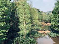 -云溪植物园