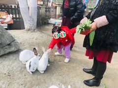-洪湖家庭农场·团建·露营·会议