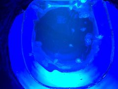 -白鹿仓冰雪海洋世界