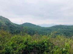 -长虫山生态公园风景林