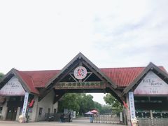 -上海海湾国家森林公园