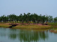 -昆山城市生态森林公园