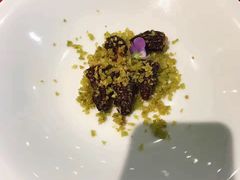 -诺莱仕游艇会
