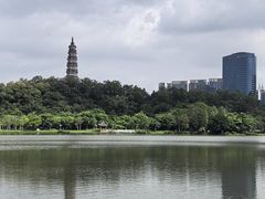 -顺峰山公园