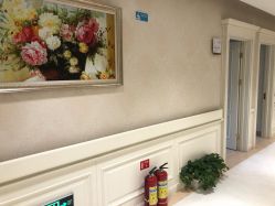 -圣嘉新医疗美容医院