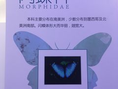 -中国湿地博物馆