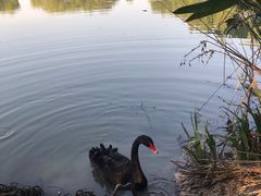 -长兴太湖图影湿地文化园