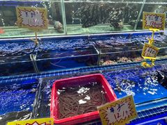 -大东海海鲜酒楼(渔人码头总店)