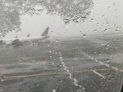 -纽瓦克自由国际机场