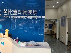 -芭比堂动物医院·CT·微创中心(新顺分院)