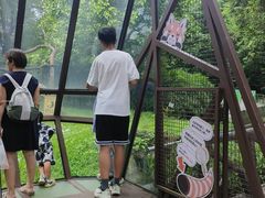 -广州长隆国际大马戏