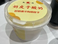 -凯鸽酒楼(操场城店)