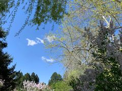 -深圳仙湖植物园