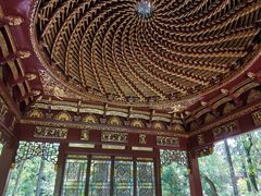 -汇龙潭