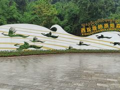 -西双版纳原始森林公园