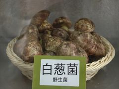 -菌海森林·非遗野生菌火锅(西山区滇池路摩根道店)