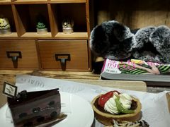 -七若滋·动物奶油生日蛋糕(北苑店)