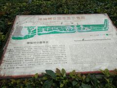 -神仙树公园