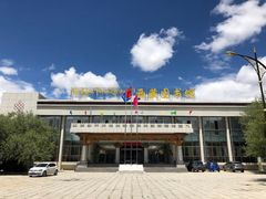 -西藏自治区图书馆